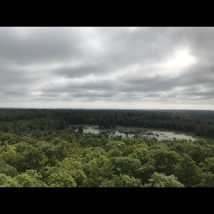 Meet your Posher, Gracie